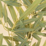 Plante artificielle pot béton gris 54cm | Hashtag Déco