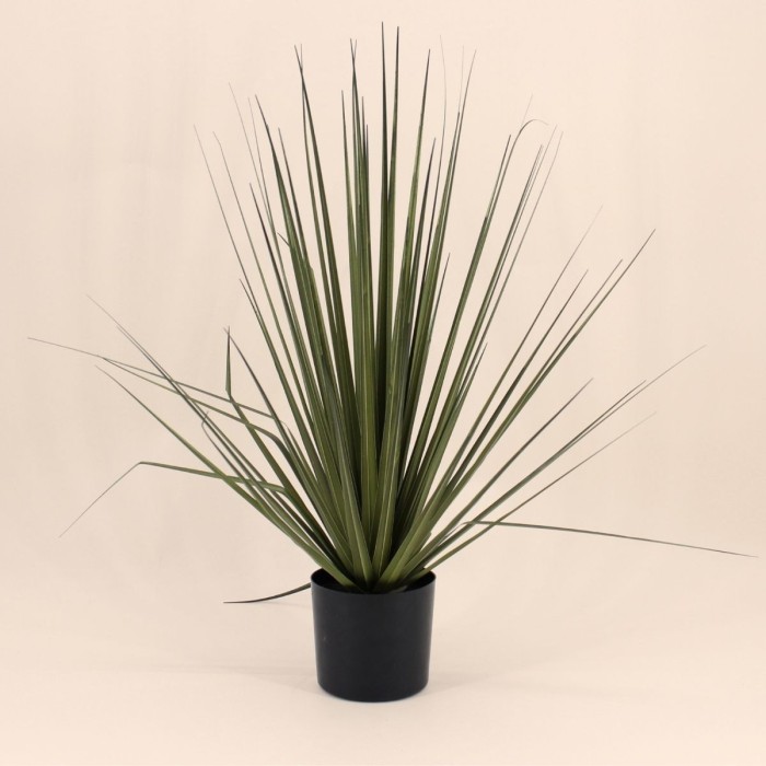 Plante artificielle asparaga 66cm verte | Hashtag Déco