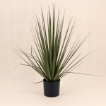 Plante artificielle asparaga 66cm verte | Hashtag Déco