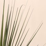 Plante artificielle asparaga 66cm verte | Hashtag Déco