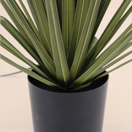 Plante artificielle asparaga 66cm verte | Hashtag Déco