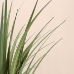 Plante artificielle acorus verte 80cm | Hashtag Déco