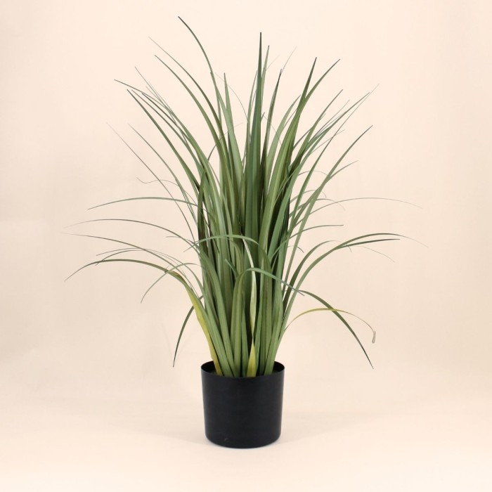 Plante artificielle acorus verte 80cm | Hashtag Déco
