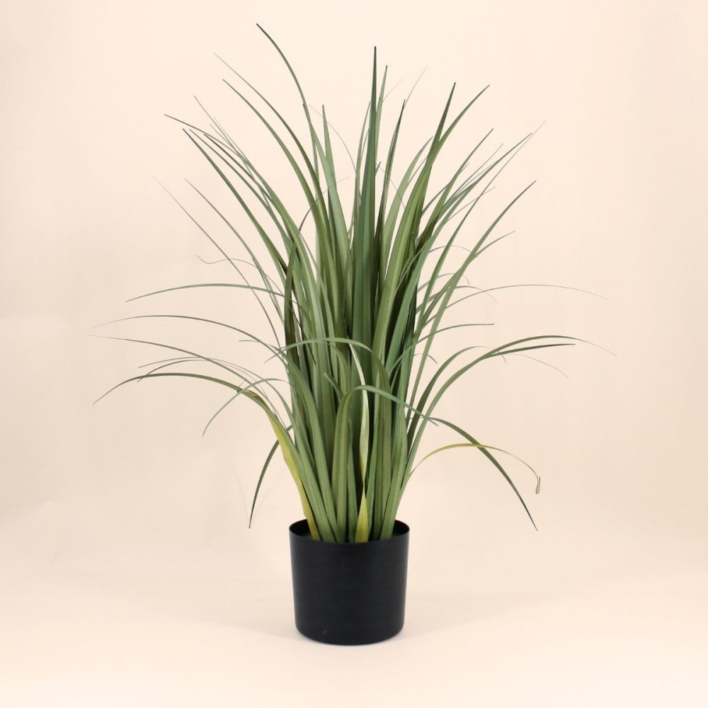 Plante artificielle acorus verte 80cm | Hashtag Déco
