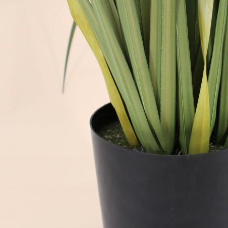 Plante artificielle acorus verte 80cm | Hashtag Déco