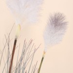 Plante artificielle plumets beige 68cm | Hashtag Déco