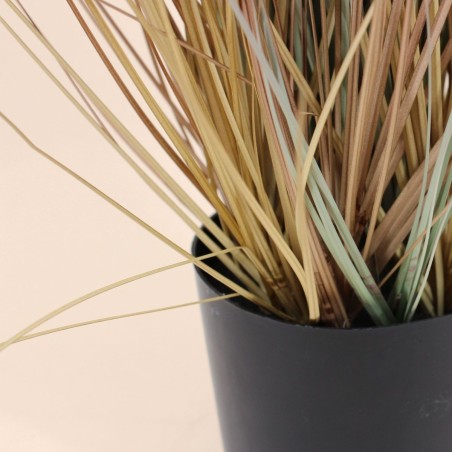 Plante artificielle plumets beige 68cm | Hashtag Déco