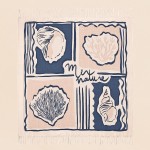 Plaid coton flammé coquillages beige 150x150cm | Hashtag Déco