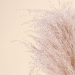Pampas artificielles beige 120cm pour intérieur | Hashtag Déco