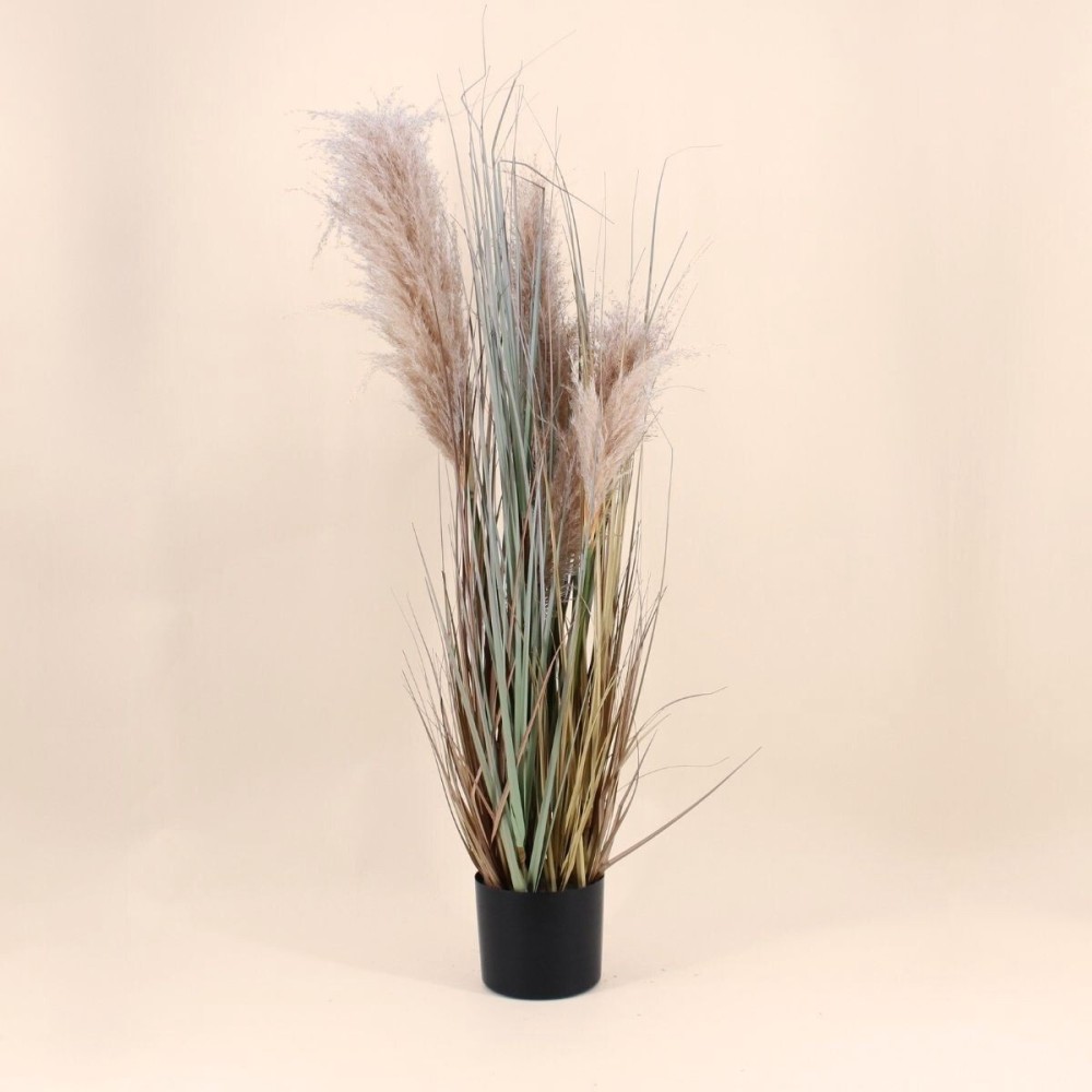 Pampas artificielles beige 120cm pour intérieur | Hashtag Déco