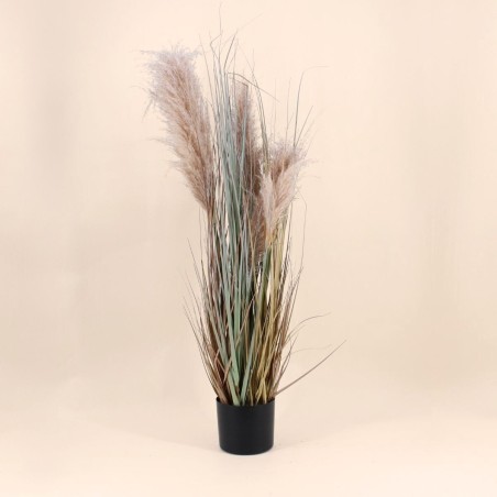 Pampas artificielles beige 120cm pour intérieur | Hashtag Déco