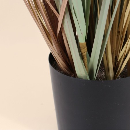 Pampas artificielles beige 120cm pour intérieur | Hashtag Déco