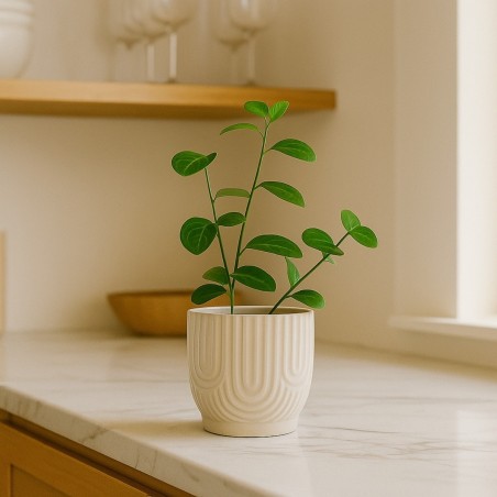 Cache-pot en céramique beige 13cm | Hashtag Déco