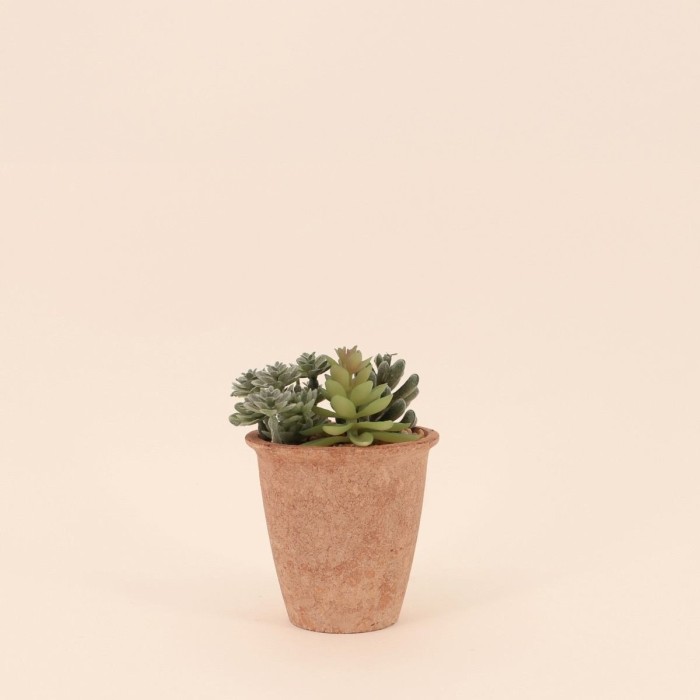 plantes grasses artificielles 18cm vert réaliste | Hashtag Déco