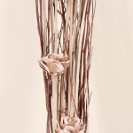 Bouquet de fleurs séchées beige 100cm | Hashtag Déco