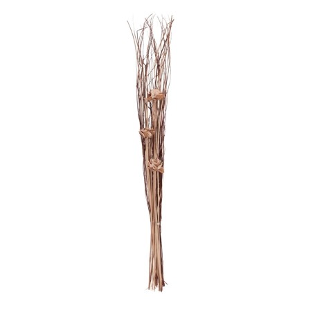Bouquet de fleurs séchées beige 100cm | Hashtag Déco