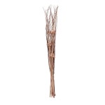Bouquet de fleurs séchées beige 100cm | Hashtag Déco