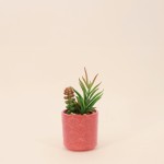 Plante artificielle pot céramique émaillée | Hashtag Déco