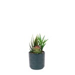 Plante artificielle pot céramique émaillée | Hashtag Déco