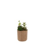 Plante artificielle pot céramique émaillée | Hashtag Déco