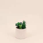 Plante grasse artificielle en pot beige | Hashtag Déco