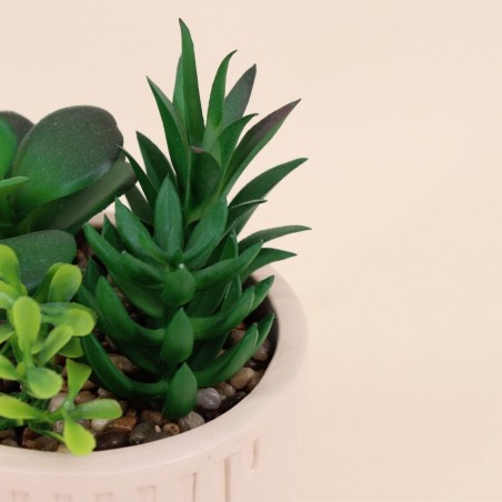 Plante grasse artificielle en pot beige | Hashtag Déco