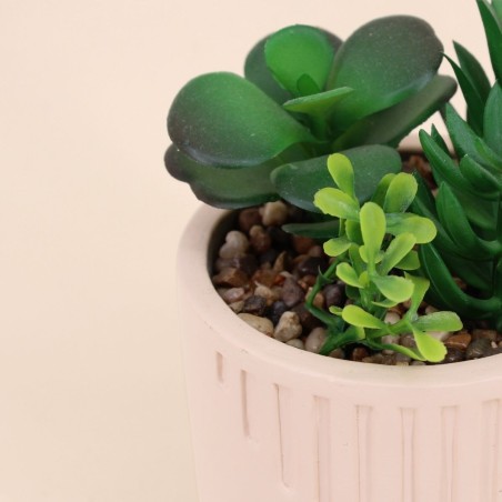 Plante grasse artificielle en pot beige | Hashtag Déco