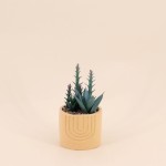 Plante grasse artificielle pot orange | Hashtag Déco