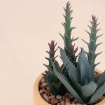 Plante grasse artificielle pot orange | Hashtag Déco