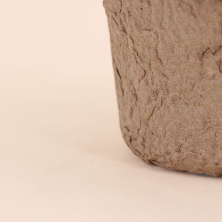 Plante artificielle pot papier maché beige | Hashtag Déco