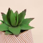 Plante grasse artificielle en pot céramique | Hashtag Déco