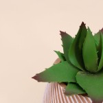 Plante grasse artificielle en pot céramique | Hashtag Déco