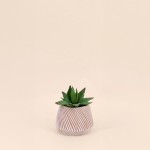 Plante grasse artificielle en pot céramique | Hashtag Déco