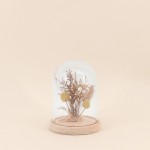 Déco cloche fleurs séchées en verre transparent | Hashtag Déco