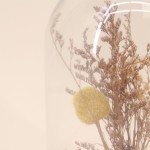 Déco cloche fleurs séchées en verre transparent | Hashtag Déco