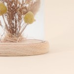 Déco cloche fleurs séchées en verre transparent | Hashtag Déco
