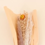 Bouquet de fleurs séchées beige 45cm | Hashtag Déco