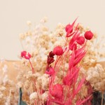 Bouquet de fleurs séchées beige 48cm | Hashtag Déco