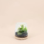 Plante artificielle en verre verte 16x13,5cm | Hashtag Déco