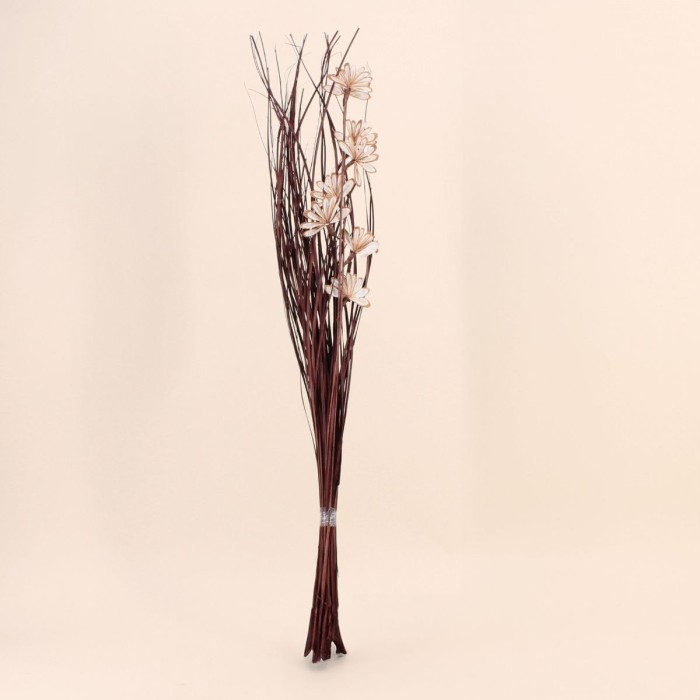 Bouquet de fleurs séchées beige 100cm | Hashtag Déco