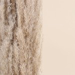 Bouquet 5 pampas beige 100cm pour intérieur | Hashtag Déco