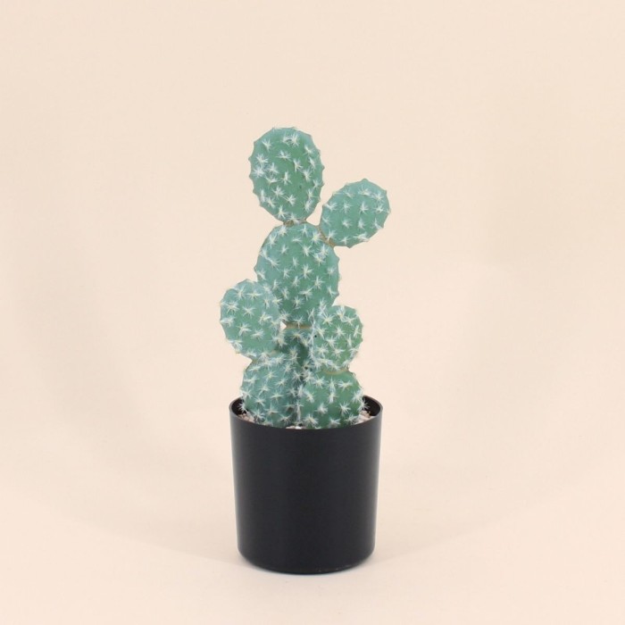 Cactus rufida artificiel vert en plastique 27cm | Hashtag Déco