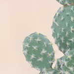 Cactus rufida artificiel vert en plastique 27cm | Hashtag Déco