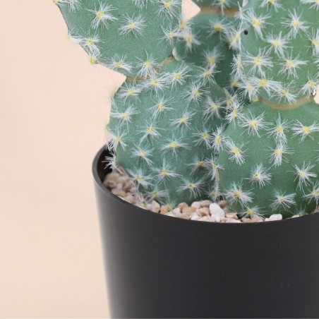 Cactus rufida artificiel vert en plastique 27cm | Hashtag Déco