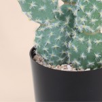Cactus rufida artificiel vert en plastique 27cm | Hashtag Déco