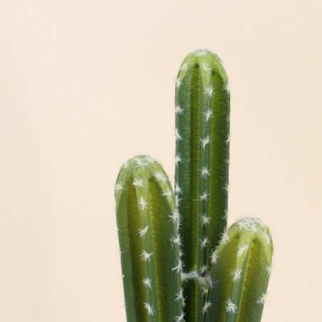 Cactus vatricania artificiel vert 44cm | Hashtag Déco