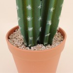 Cactus vatricania artificiel vert 44cm | Hashtag Déco