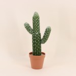Cactus polaskia artificiel vert 41cm en plastique | Hashtag Déco