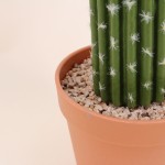 Cactus polaskia artificiel vert 41cm en plastique | Hashtag Déco