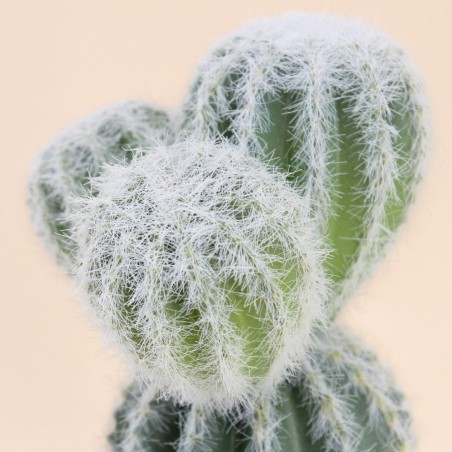 Cactus artificiel vert 26cm en plastique | Hashtag Déco